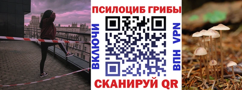 hydra маркетплейс  Ахтубинск  Псилоцибиновые грибы Magic Shrooms 